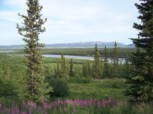 Lodge View